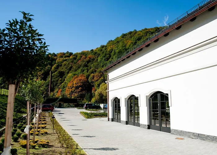 Hotel Palac Jugowice
